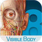 visible body v3.1.3