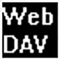 webdavscan客户端(web漏洞扫描软件) 中文绿色版 v1.0